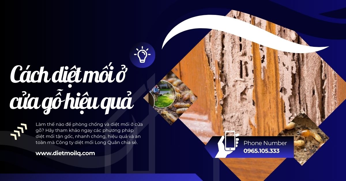 Cách diệt mối ở cửa gỗ hiệu quả, bạn đã biết?