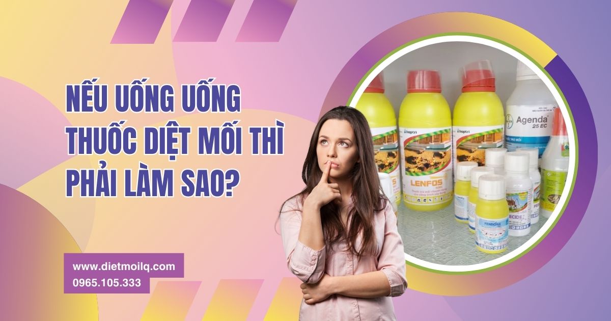 Nếu uống uống thuốc diệt mối thì phải làm sao?