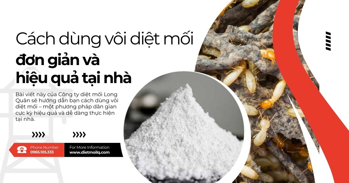 Cách dùng vôi diệt mối đơn giản và hiệu quả tại nhà