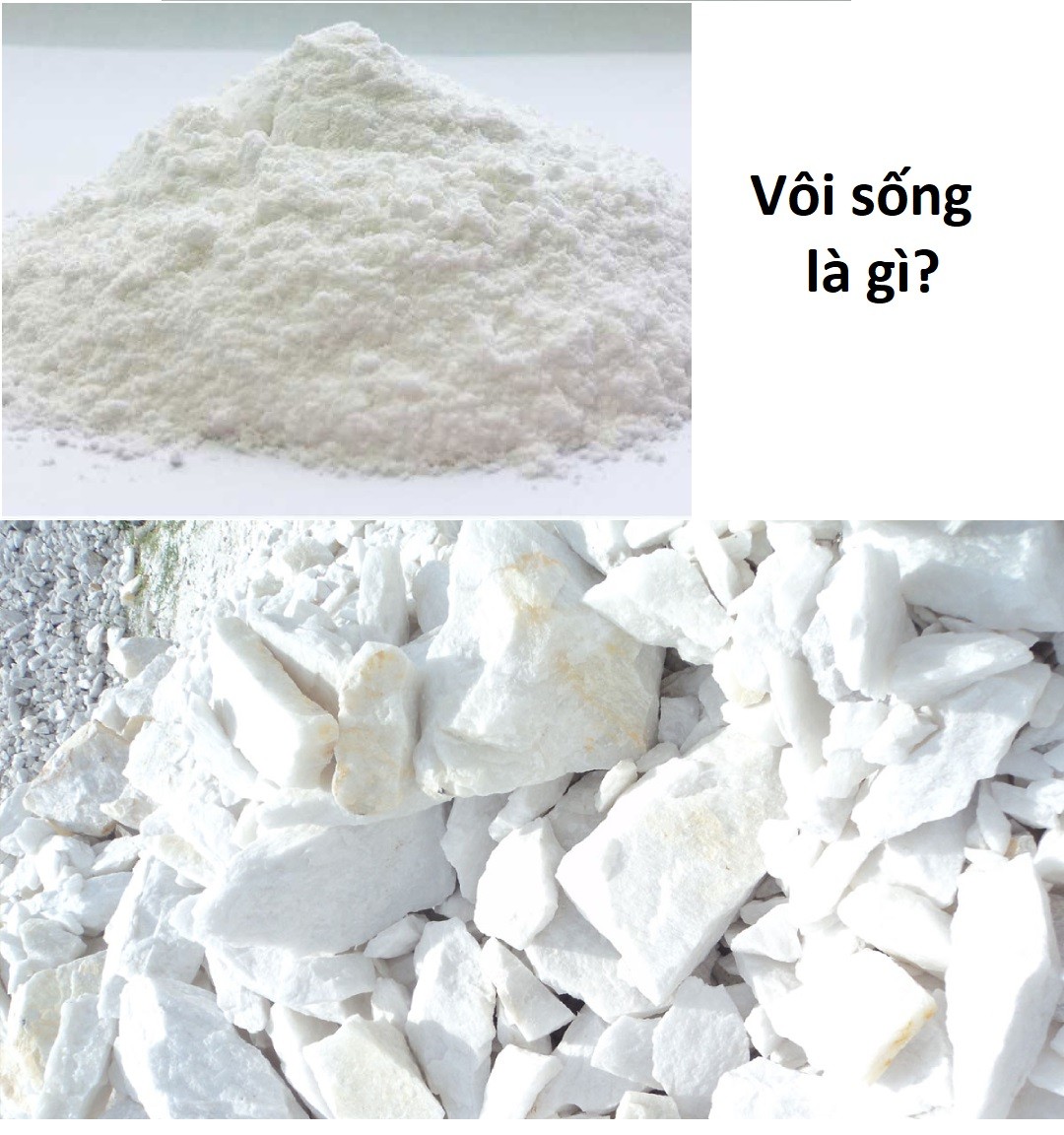 voi diet moi (2)