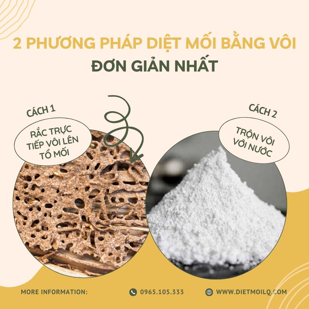 voi diet moi (3)