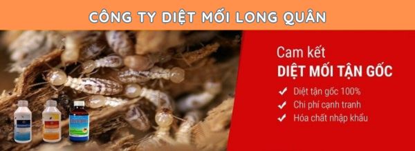 voi diet moi (4)