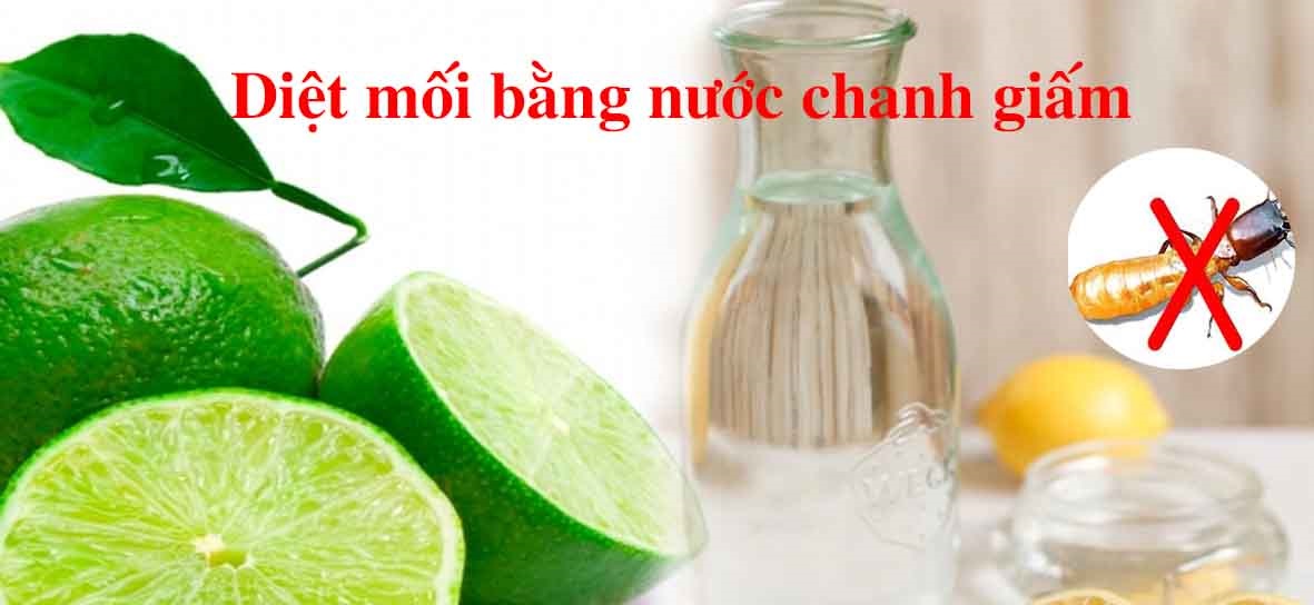 diet moi dan gian (5)