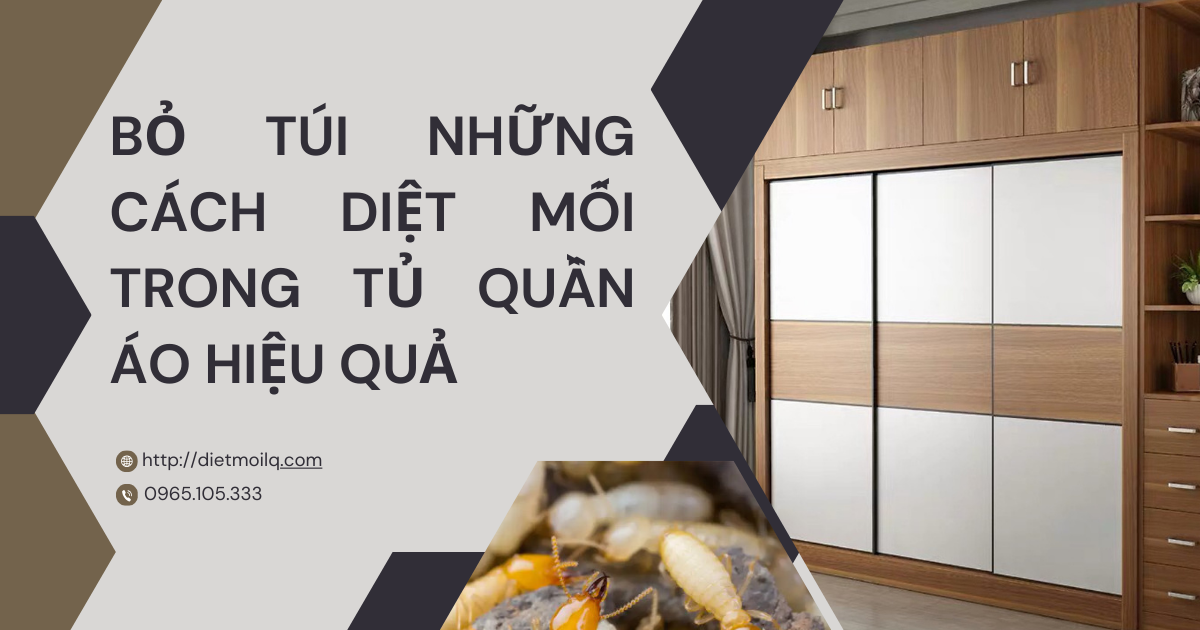 Bỏ túi những cách diệt mối trong tủ quần áo hiệu quả