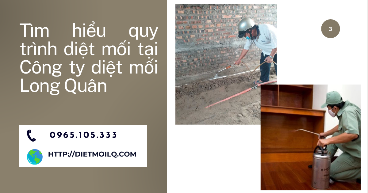 Tìm hiểu quy trình diệt mối tại Công ty diệt mối Long Quân