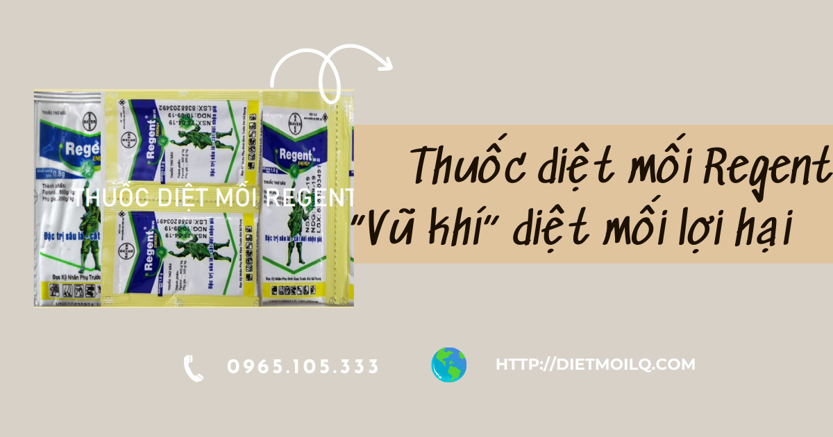 Thuốc diệt mối Regent - “Vũ khí” diệt mối lợi hại