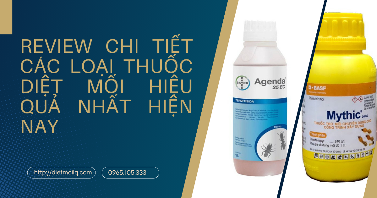 Review chi tiết các loại thuốc diệt mối hiệu quả nhất hiện nay