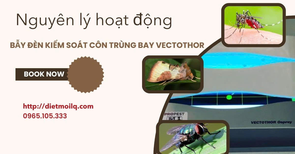 Nguyên lý hoạt động của bẫy đèn kiểm soát côn trùng bay Vectothor