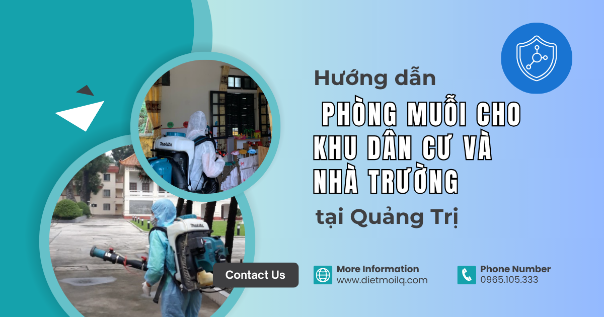 Hướng dẫn phòng muỗi cho khu dân cư và nhà trường tại Quảng Trị