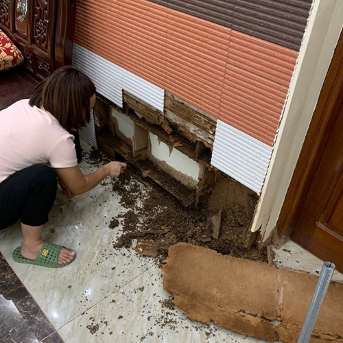 khao sat moi an tương9