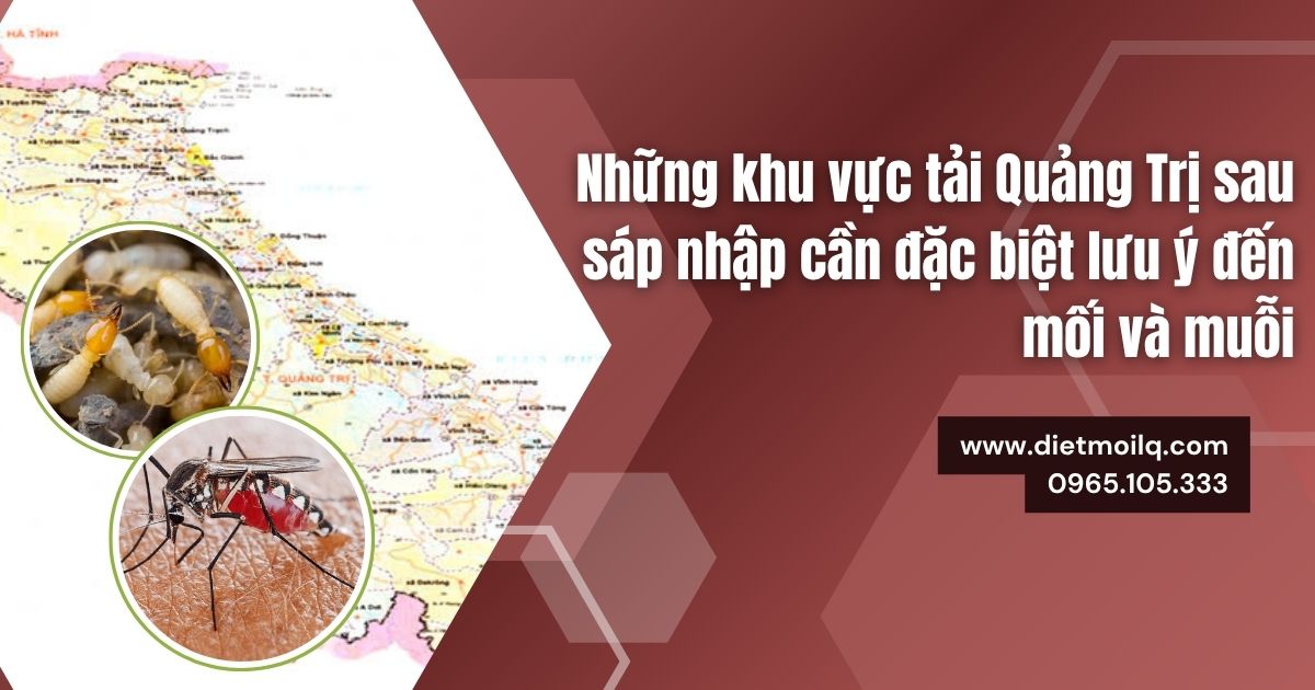 Những khu vực tải Quảng Trị sau sáp nhập cần đặc biệt lưu ý đến mối và muỗi