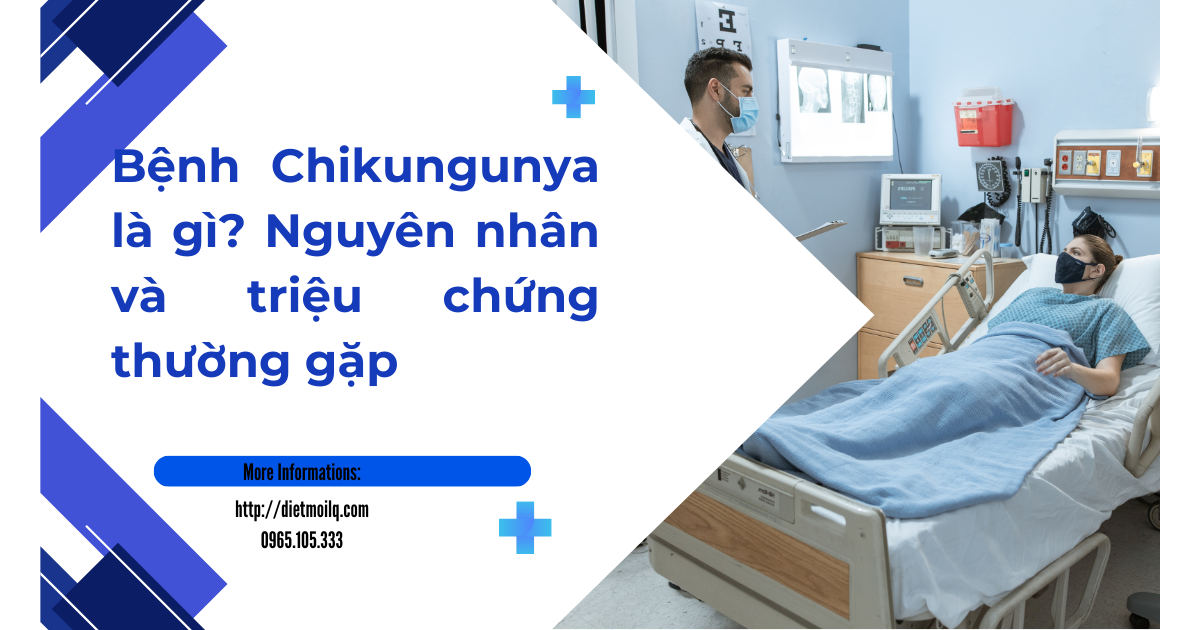 Bệnh Chikungunya là gì? Nguyên nhân và triệu chứng thường gặp