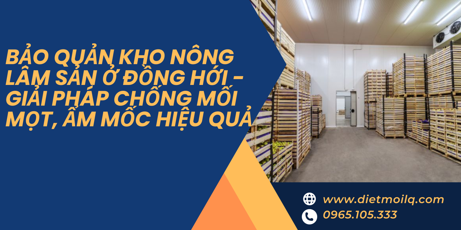 Bảo quản kho nông lâm sản ở Đồng Hới – Giải pháp chống mối mọt, ẩm mốc hiệu quả
