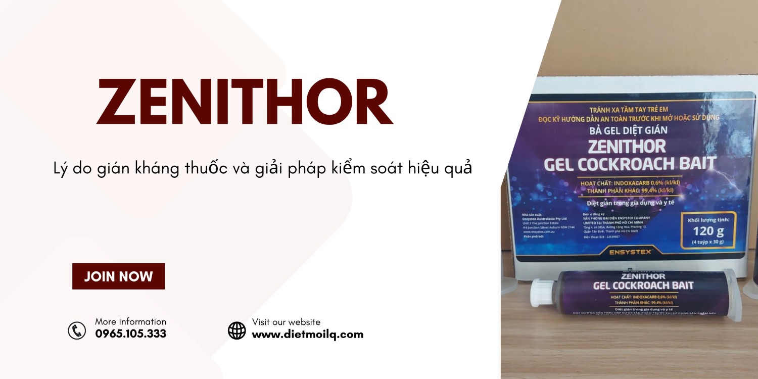 Zenithor – Lý do gián kháng thuốc và giải pháp kiểm soát hiệu quả