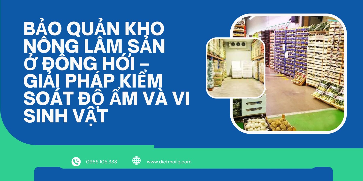 Bảo quản kho nông lâm sản ở Đồng Hới – Giải pháp kiểm soát độ ẩm và vi sinh vật