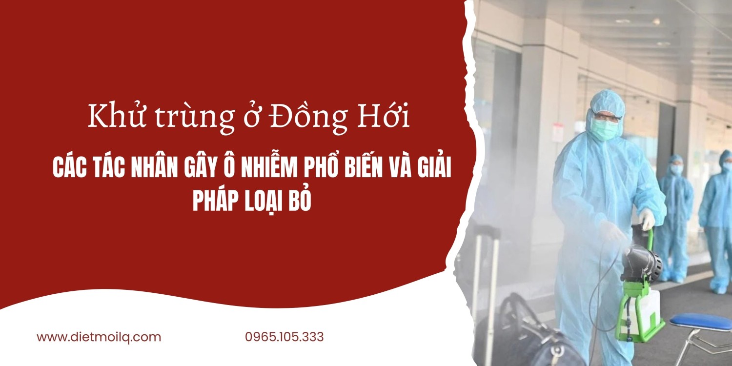 Khử trùng ở Đồng Hới – Các tác nhân gây ô nhiễm phổ biến và giải pháp loại bỏ