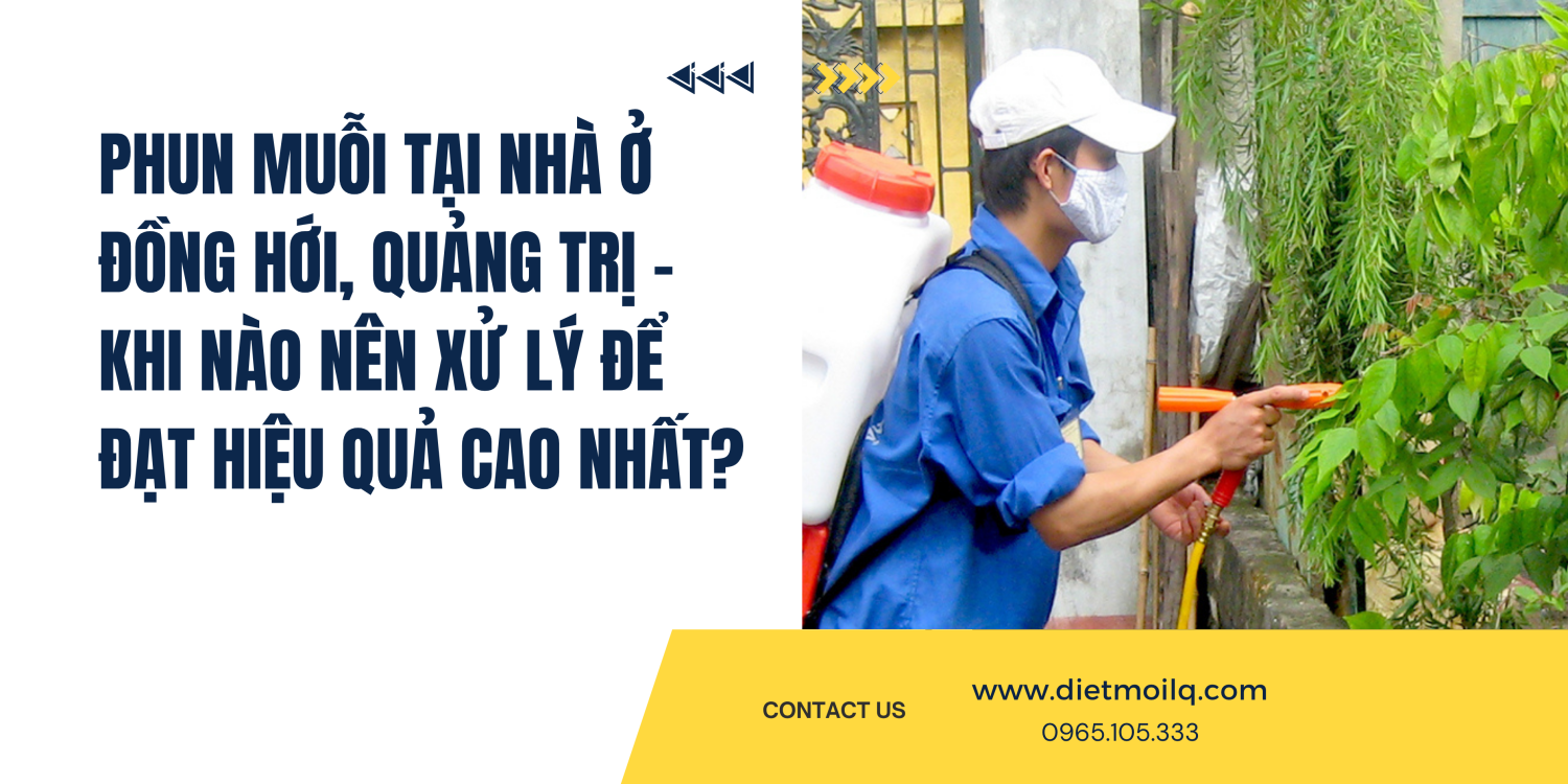 Phun muỗi tại nhà ở Đồng Hới, Quảng Trị – Khi nào nên xử lý để đạt hiệu quả cao nhất?