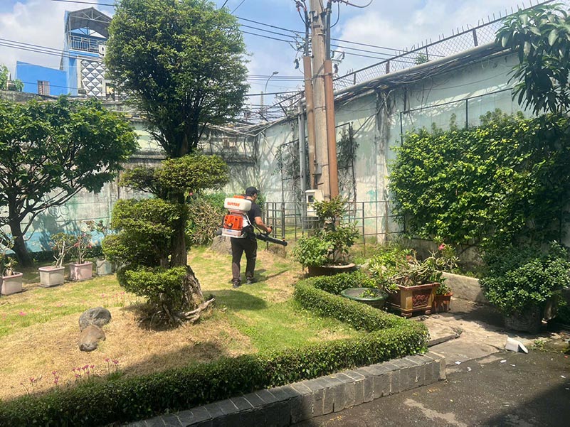 phun thuoc diet muoi cho khu vuc san vuon biet thu 1 4025