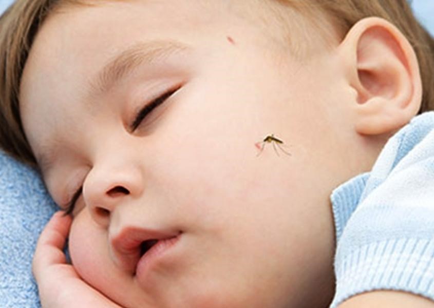 tre bi muoi dot 1 845x600 1