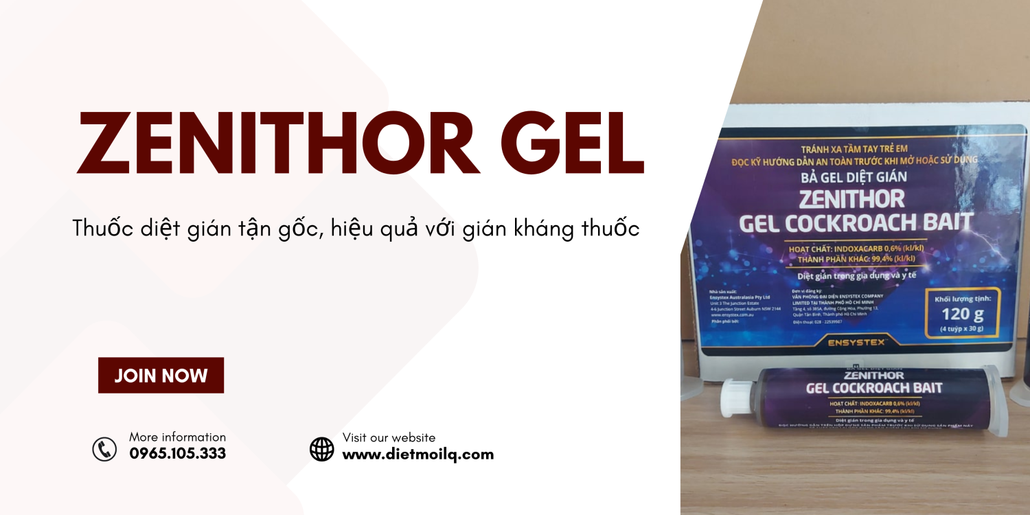 Zenithor Gel – Thuốc diệt gián tận gốc, hiệu quả với gián kháng thuốc